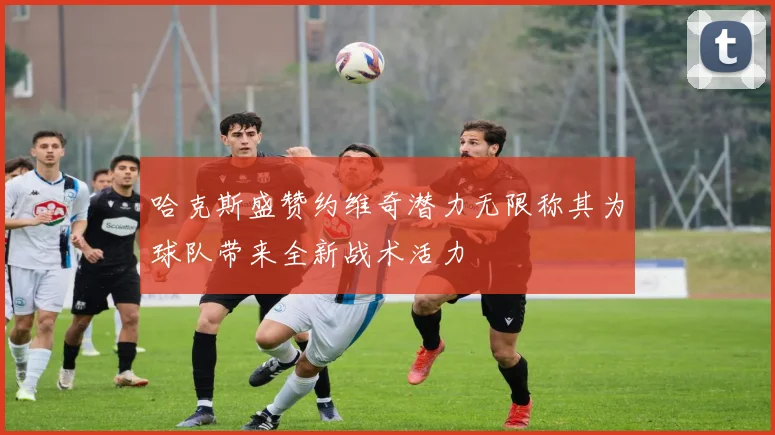 哈克斯盛赞约维奇潜力无限称其为球队带来全新战术活力