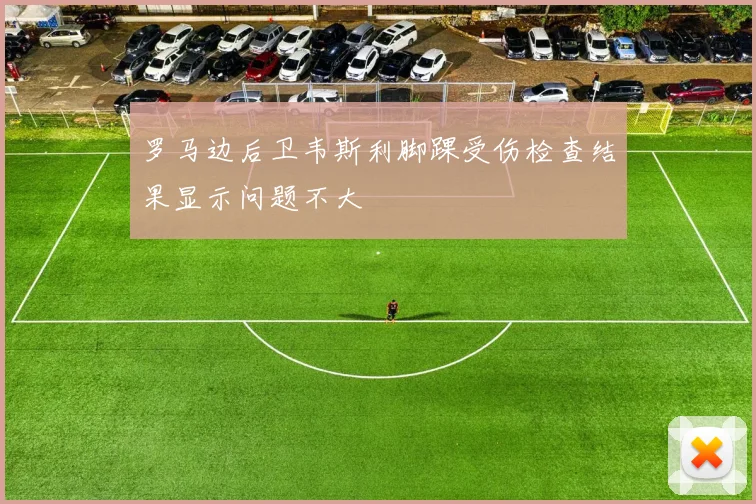 罗马边后卫韦斯利脚踝受伤检查结果显示问题不大
