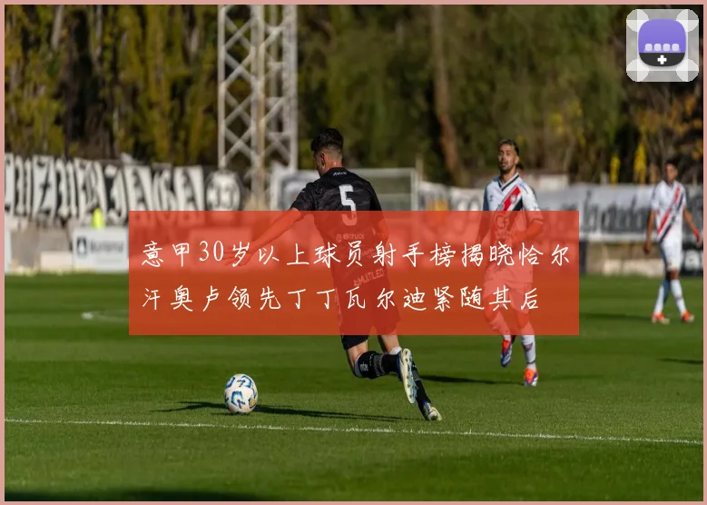 意甲30岁以上球员射手榜揭晓恰尔汗奥卢领先丁丁瓦尔迪紧随其后