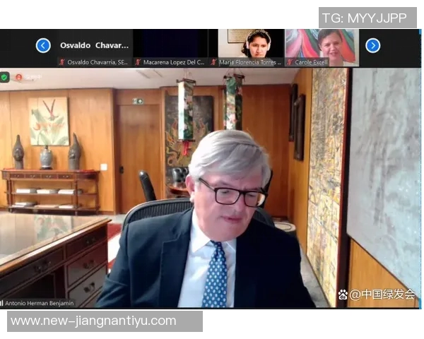 巴西多队联合声明反对人工草皮伤病说法呼吁公众理性看待